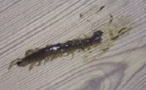 �а��w������н̰�