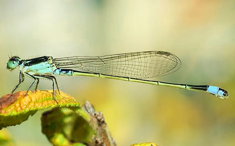 �P(gu��n)�������cˮ�Ľ��x�~