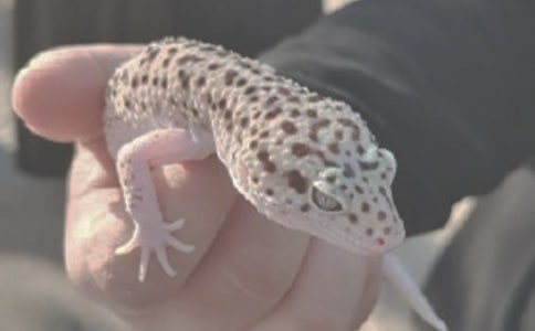 ץ����Ĕ�������300��