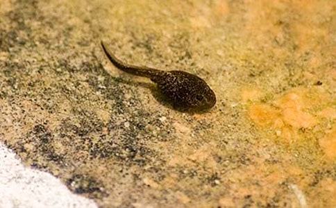 С���v�Uӛ400�փ�(y��u)������