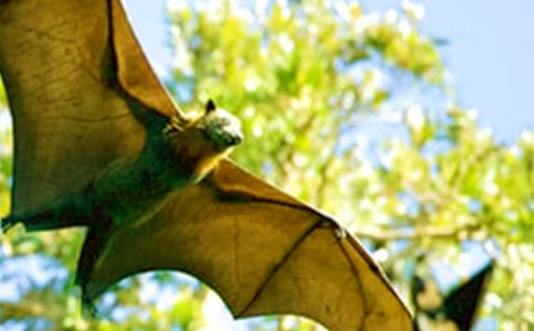  �������c���_(d��)���ĵ÷���