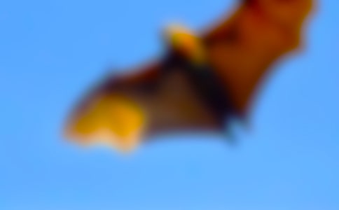 ��һ�N��������Ϣ(��һ���Z)