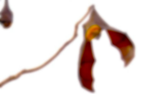 ���������b����600��