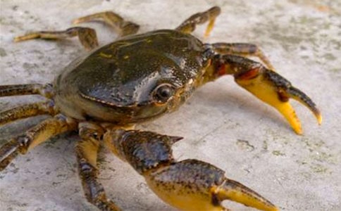 ��з��ӛ600��