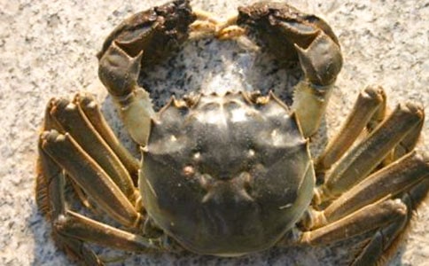 ���з����400��