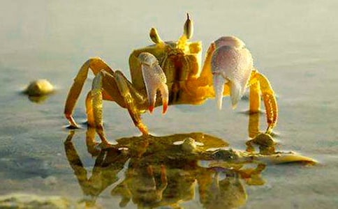 �옷��С�з����w���̰�