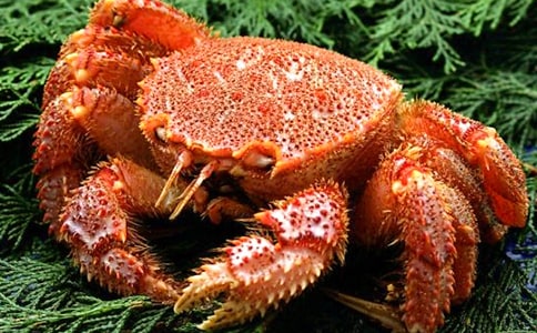 �c�з��������