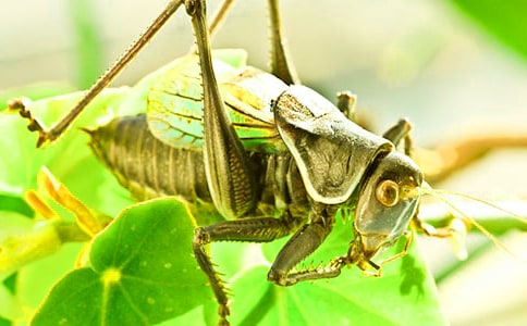 �P(gu��n)���������