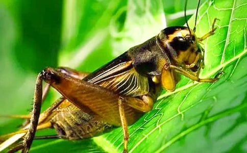 ��(xi��)�µ����ģ�ץ�󰣨���x19ƪ��