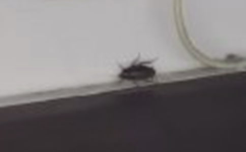 �P(gu��n)������������ƪ