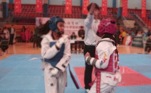 學(xué)習(xí)跆拳道作文