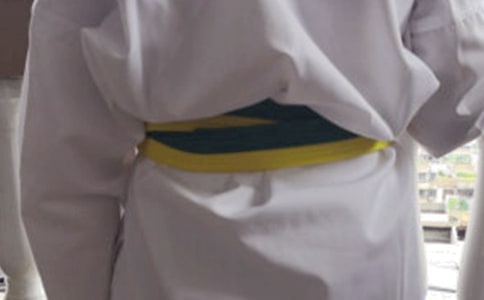 跆拳道作文(通用34篇)