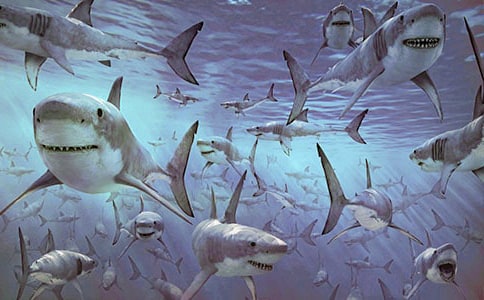 �P(gu��n)�����~������