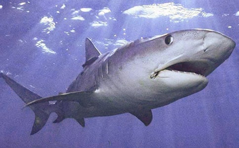 ���������~