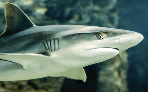 ���o(h��)���~�W(xu��)������