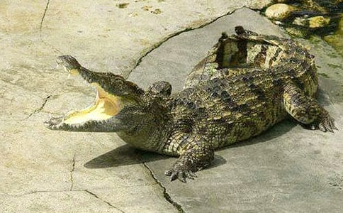 �{�~��������800��