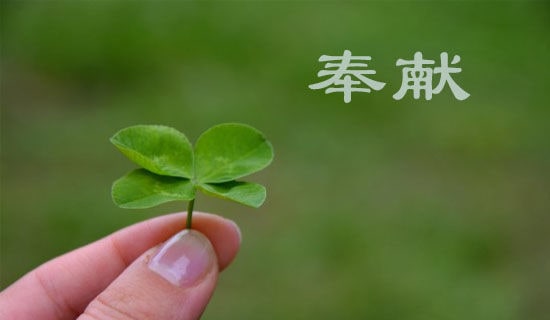 強師德勇?lián)?dāng)講奉獻學(xué)習(xí)心得(通用15篇)