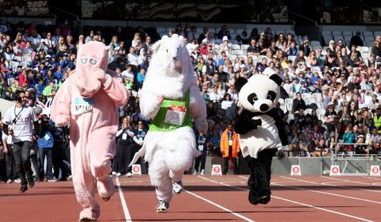 難忘的運動會作文500字